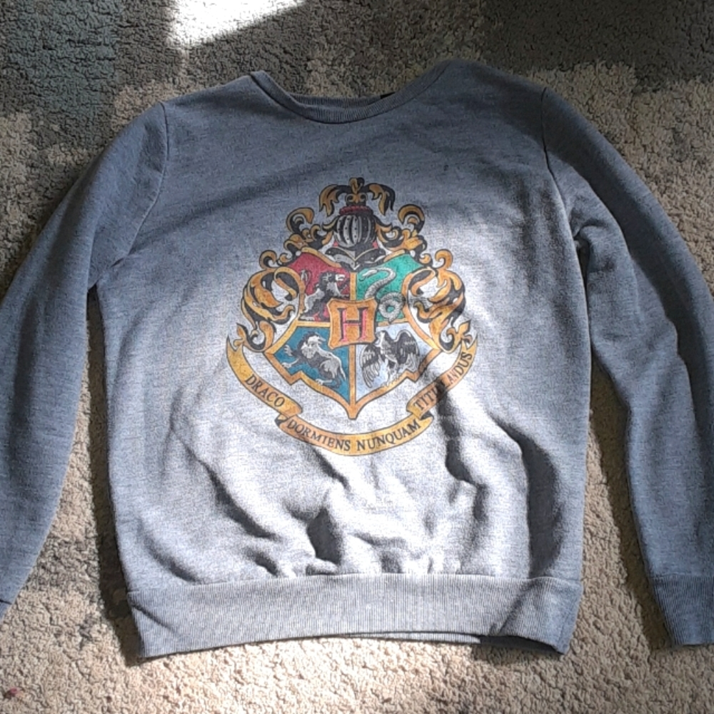 Harry Potter Gray Sweatshirt